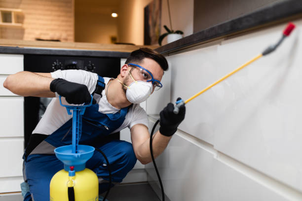 Best Mosquito Control Services  in Lakeview, NY