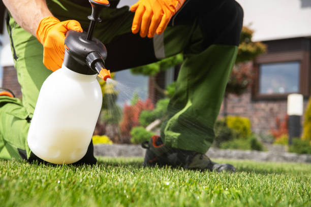 Best Pest Prevention Services  in Lakeview, NY
