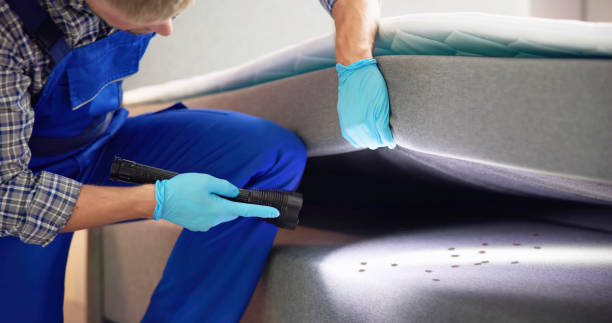 Best Wasp Removal Services  in Lakeview, NY